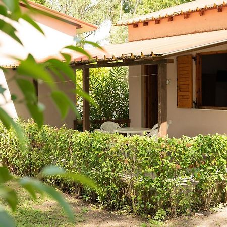 Camping Pefki Hotel Екстериор снимка